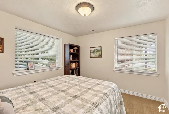 Neutral-toned interior room featuring dual windows with horizontal blinds, textured ceiling, central flush-mount lighting, and carpeted flooring