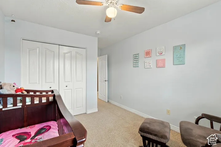 Room featuring beige carpeting, white paneled closet doors, and a ceiling-mounted fan with light fixture