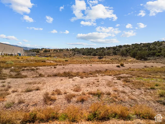 Expansive open acreage featuring native desert vegetation, rolling terrain, and mature trees against a natural mountainous backdrop
