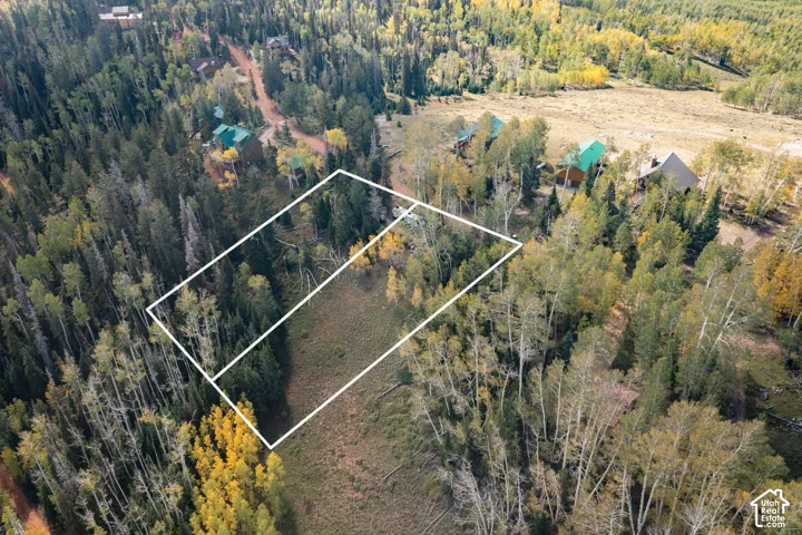 Wooded parcel featuring native aspen and pine trees, level terrain, and an unpaved road boundary
