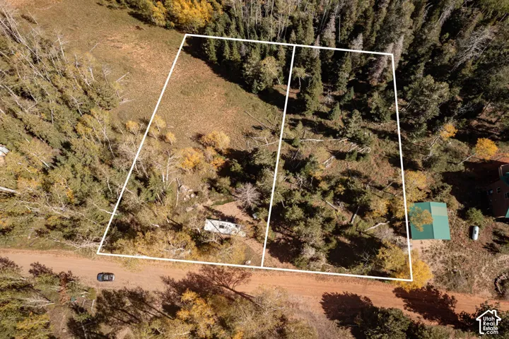 Expansive parcel featuring mature pine and aspen trees, open meadow areas, and direct road access