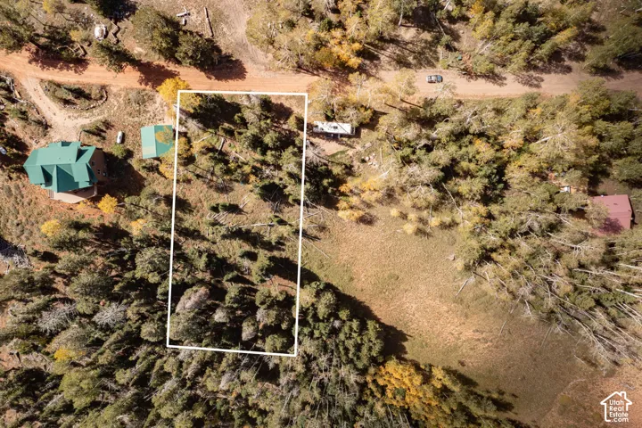 Aerial perspective of a wooded lot featuring mature evergreen and deciduous trees, defined parcel boundaries, and dirt road access