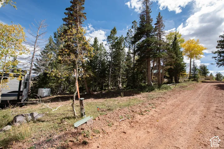Expansive acreage featuring mature pine and aspen trees, natural terrain, and direct access to an unpaved road