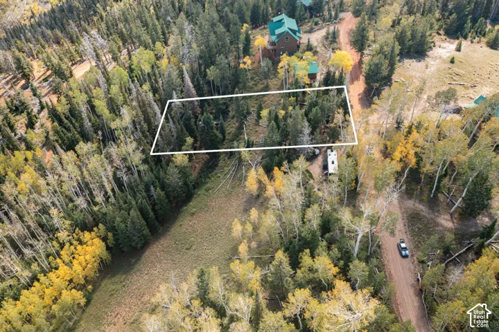 Aerial parcel featuring established coniferous and deciduous forest with expansive terrain