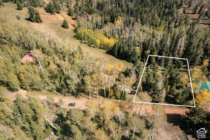 Expansive lot featuring mature evergreen trees, dense deciduous forest, sloping topography, and unpaved road access