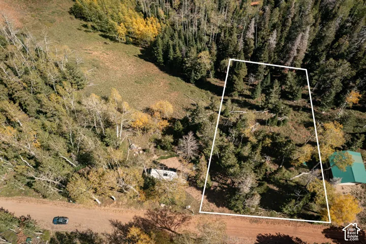 Wooded acreage featuring mature evergreen and aspen trees, natural terrain, and direct dirt road access