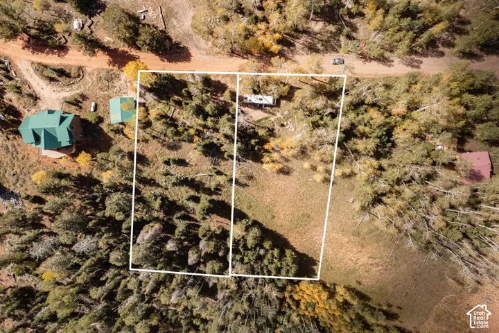 Aerial perspective of dual-lot parcel featuring mature evergreen and deciduous trees, open meadow areas, and direct road access