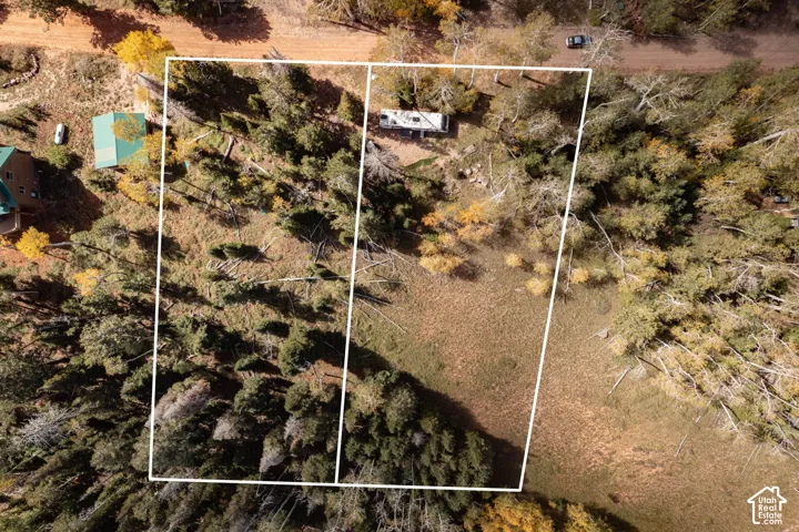 Aerial perspective of a wooded lot featuring mature coniferous and deciduous trees, open grassy areas, and direct road access