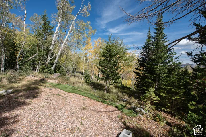 Expansive outdoor space featuring a crushed gravel surface, tiered retaining wall, and mature coniferous and deciduous trees