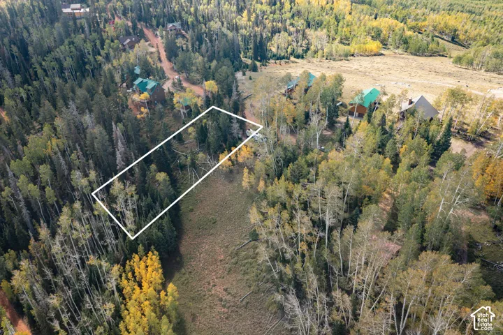 Wooded lot featuring mature evergreen and aspen trees, natural terrain, and direct forest access