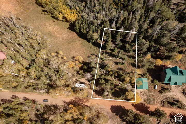 Aerial perspective of a lot featuring mature evergreen and deciduous trees, varied terrain, and dirt road access