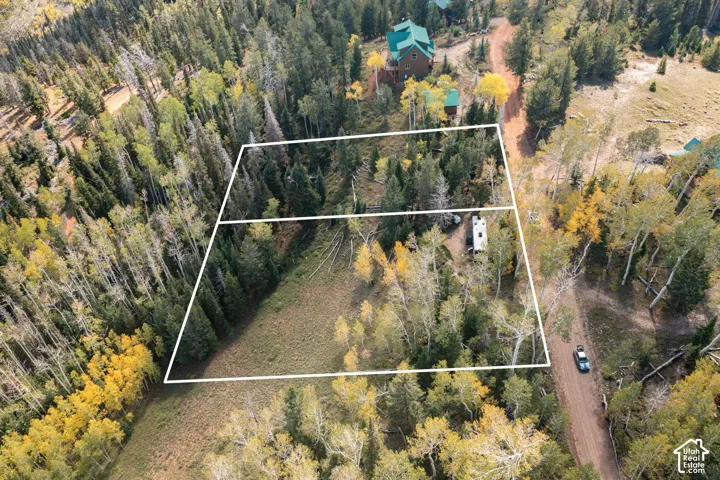 Aerial perspective of a wooded land parcel featuring mature coniferous and deciduous trees, varied topography, and direct access to an unpaved road