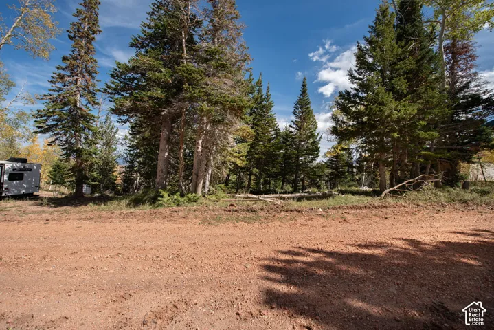 Wooded land parcel featuring mature pine and aspen trees with direct access to an unpaved road