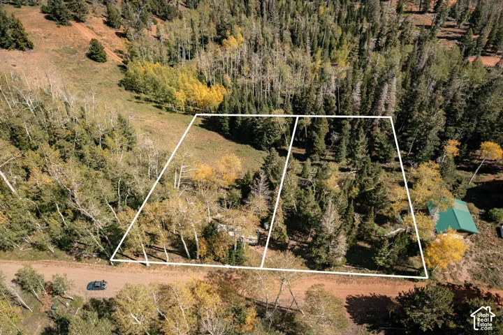 Expansive forested parcel featuring mature evergreen and aspen trees, natural meadow terrain, and direct dirt road access
