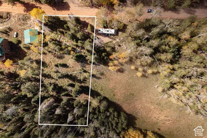 Aerial view of lot featuring dense evergreen and deciduous tree cover, natural grass terrain, and direct access to an unpaved road