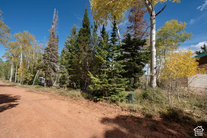 Natural surroundings featuring mature aspen and pine trees on a lot with an earthen roadway
