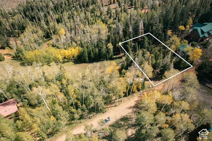 Wooded parcel featuring mature evergreen and aspen trees with direct access to an unpaved road