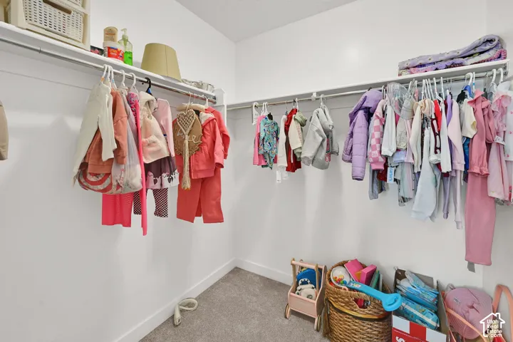 Walk-in closet featuring wall-to-wall carpeting and upper shelving with integrated garment rods