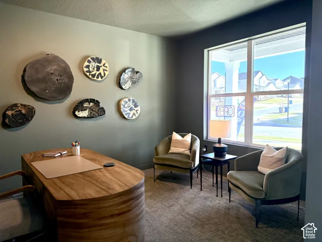 Spacious room with a large window, light-toned walls, and carpeted flooring