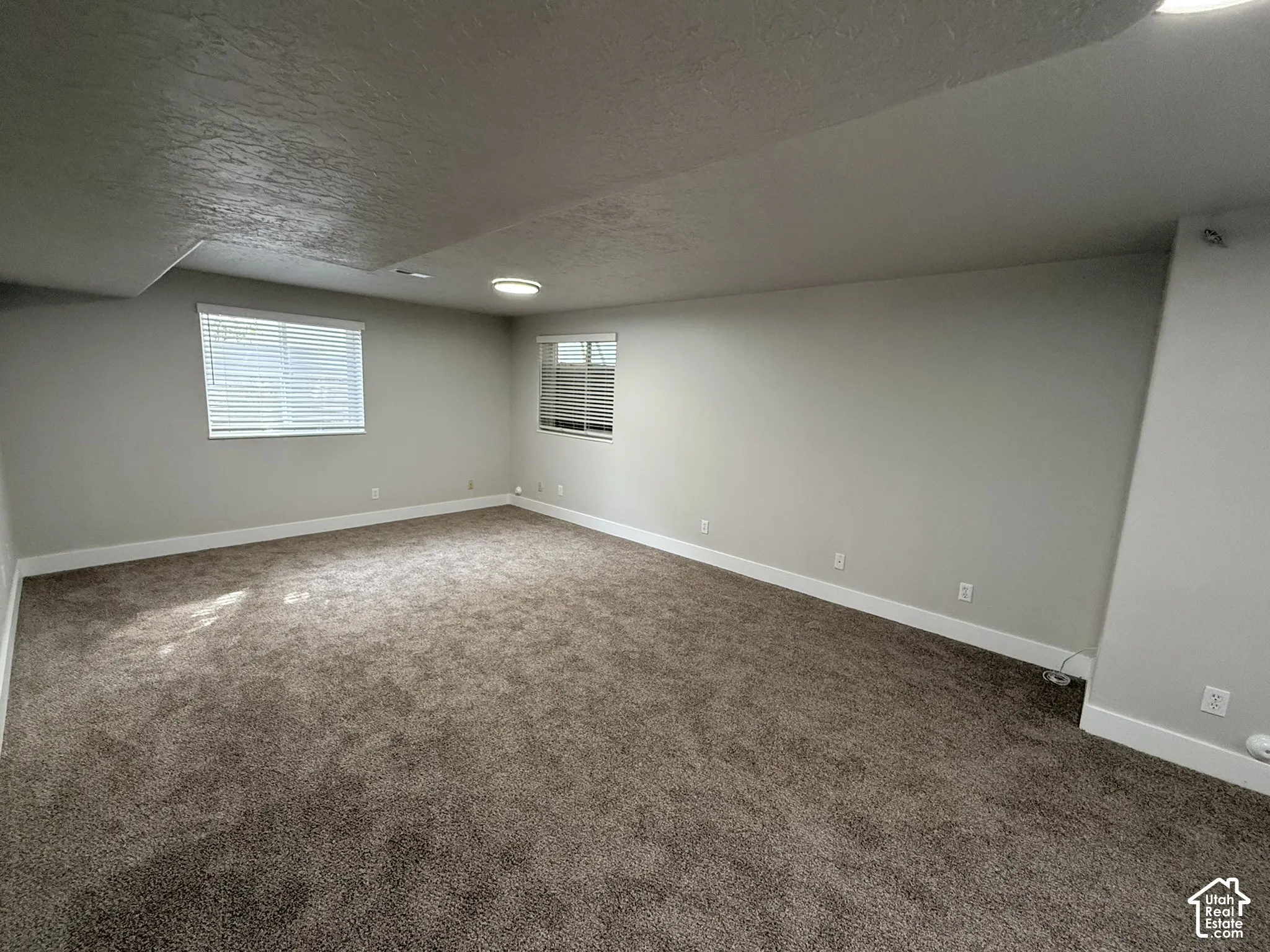 Neutral wall tones, plush wall-to-wall carpeting, and dual windows providing natural light, finished with flush-mount ceiling lighting