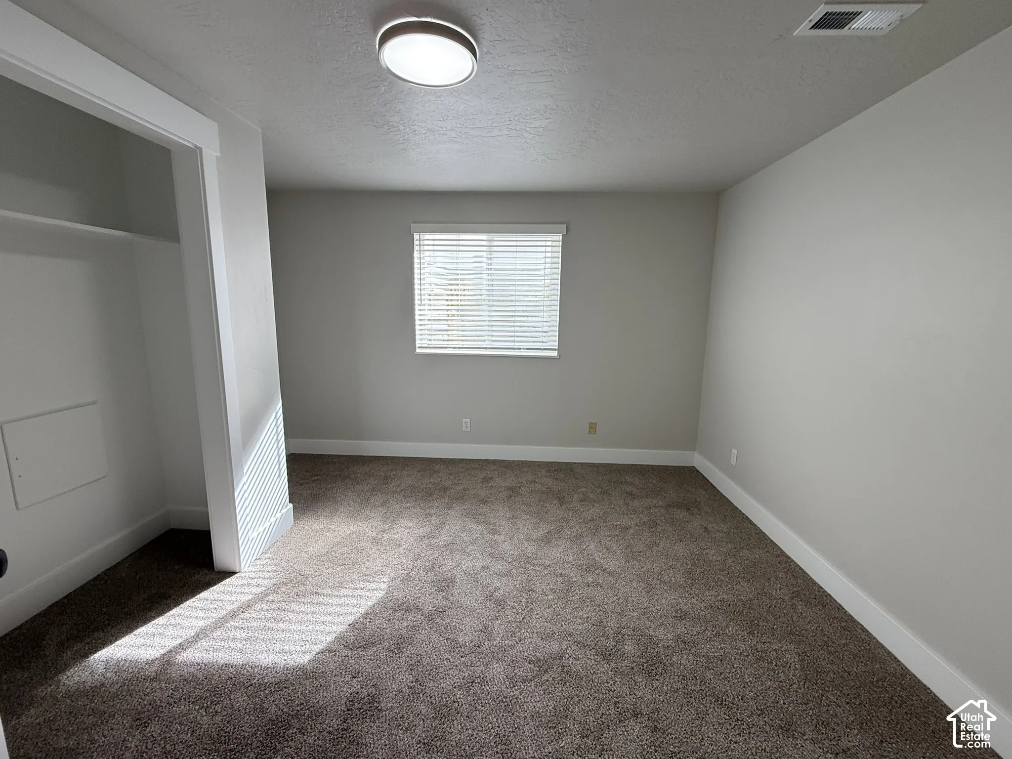 Neutral wall tones, carpeted flooring, built-in closet, flush-mount ceiling lighting, and horizontal window blinds