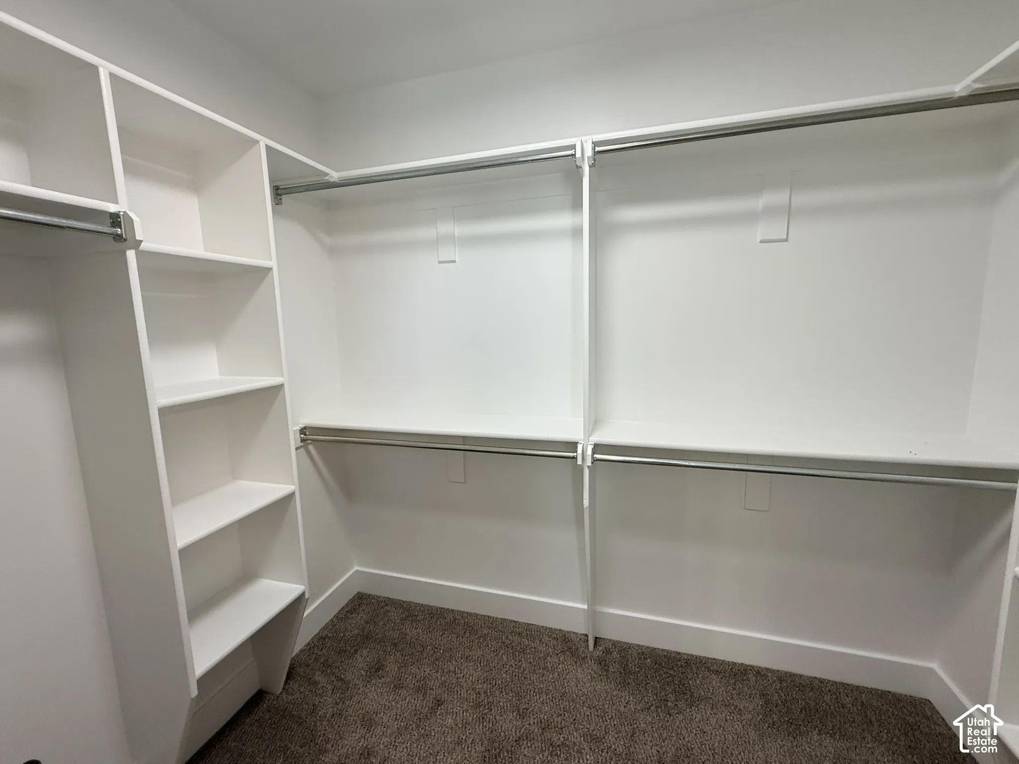 Walk-in closet featuring white built-in shelving and multi-level metal hanging rods over carpeting