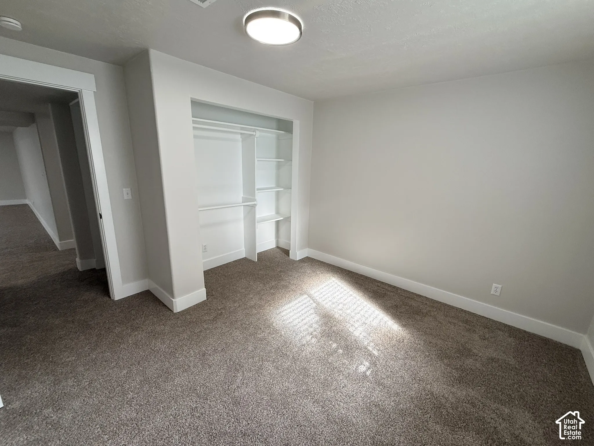 Room featuring neutral-toned carpeting, a built-in closet with integrated shelving and hanging rods, and a ceiling-mounted light fixture