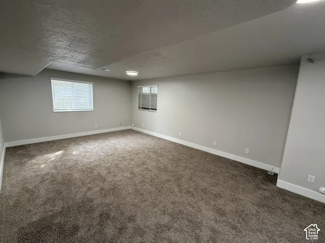 Neutral wall tones, plush wall-to-wall carpeting, and dual windows providing natural light, finished with flush-mount ceiling lighting