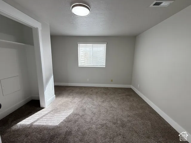 Neutral wall tones, carpeted flooring, built-in closet, flush-mount ceiling lighting, and horizontal window blinds