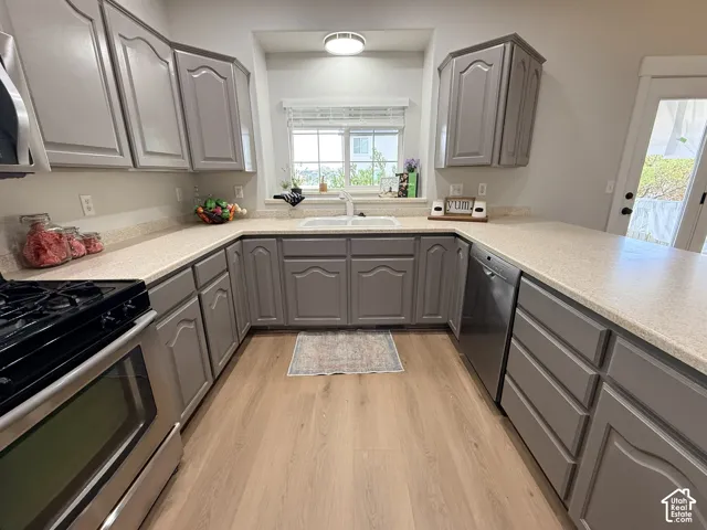 Kitchen featuring grey shaker-style cabinetry, neutral countertops, wood-finish flooring, a double-basin sink with window placement, and stainless steel appliances
