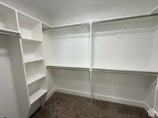 Walk-in closet featuring white built-in shelving and multi-level metal hanging rods over carpeting
