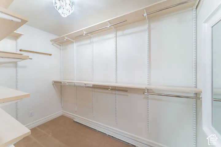Custom storage system featuring light wood-finish shelving, adjustable wall-mounted tracks, and metallic clothing rods, complemented by a decorative flush-mount ceiling light
