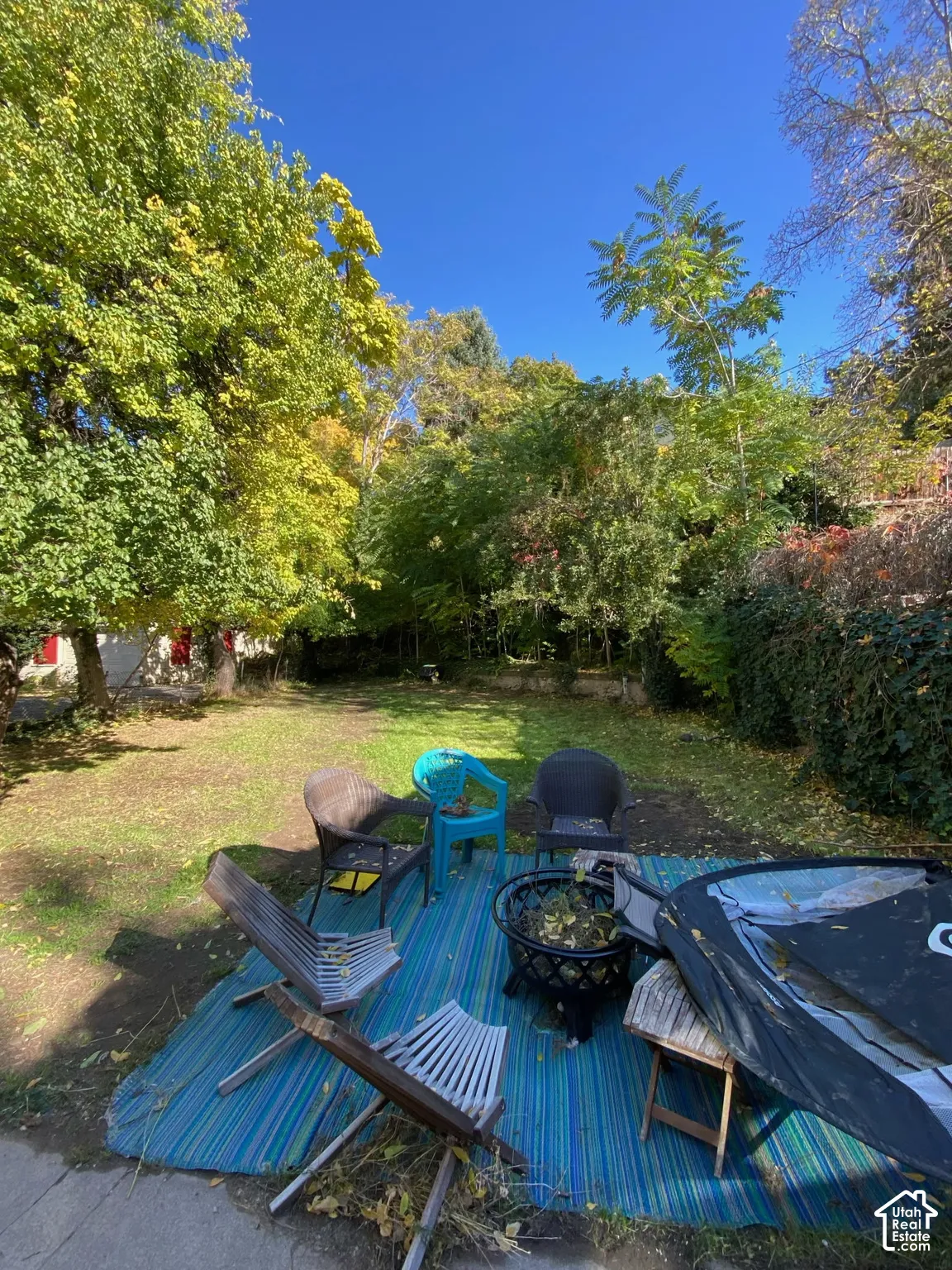 Backyard featuring mature trees, established foliage, and a lawn area
