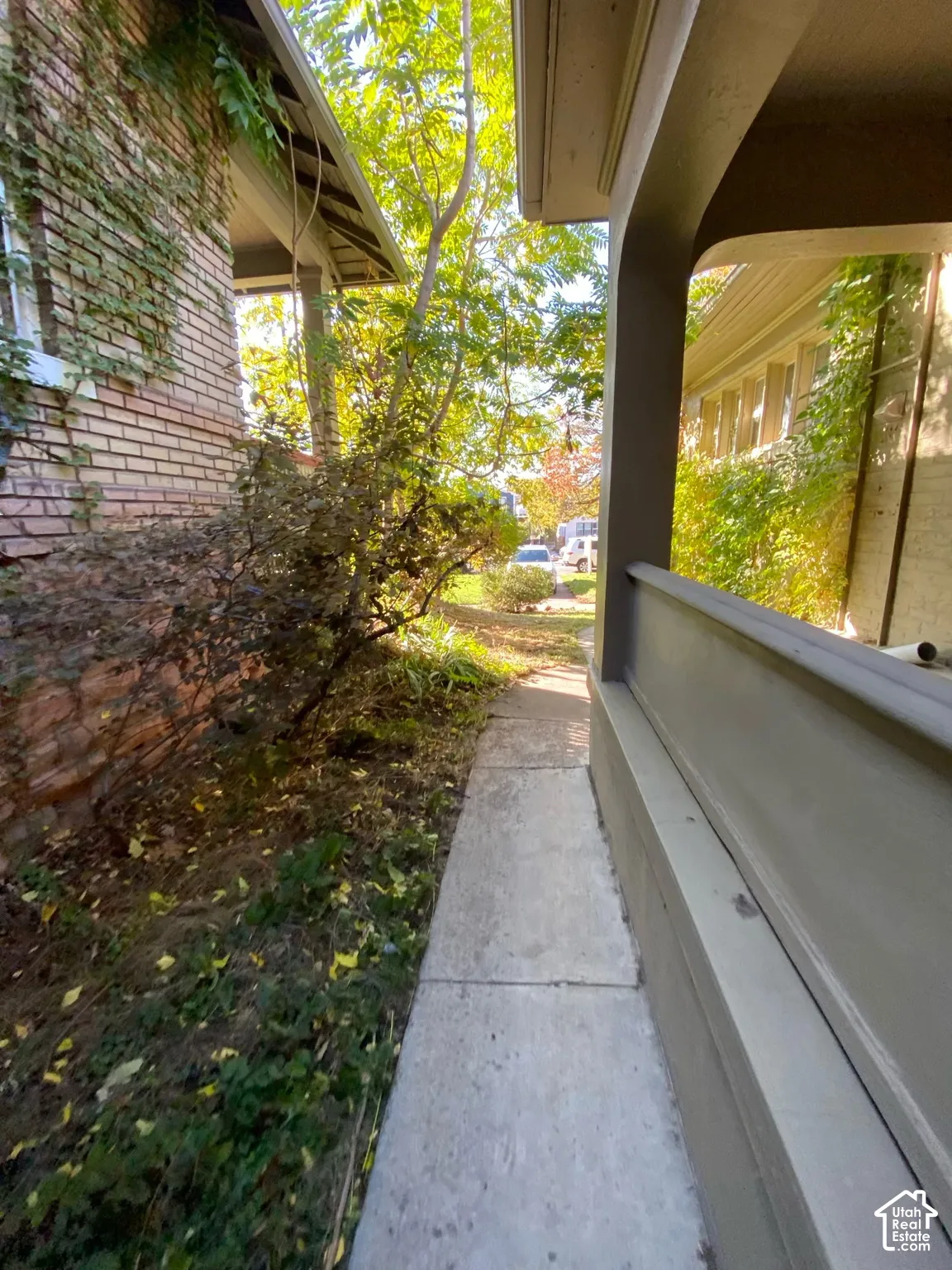 Exterior path featuring a concrete walkway, masonry wall, painted solid railing, and mature landscaping