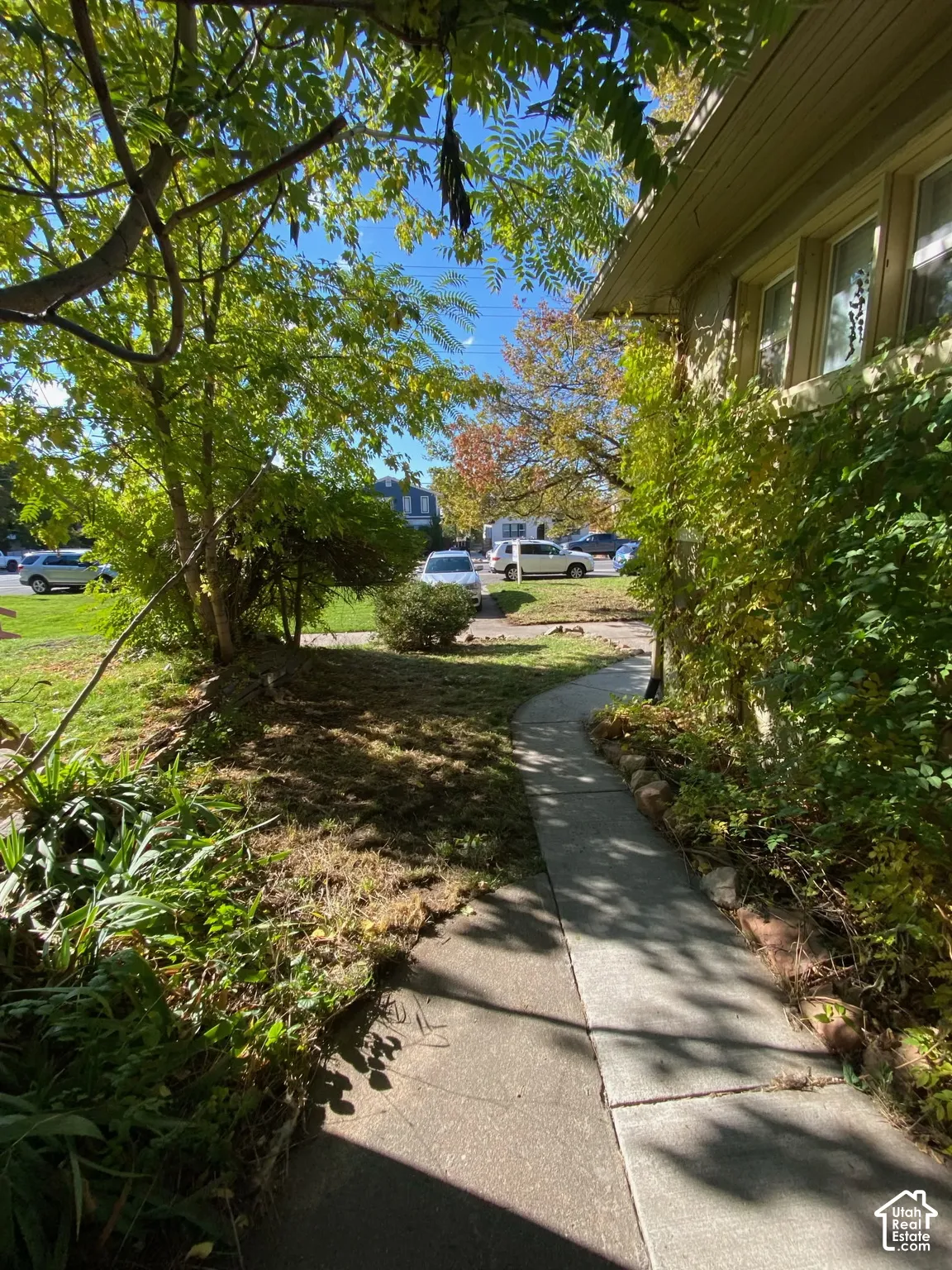 Concrete walkway bordered by mature foliage, established trees, and stone accents