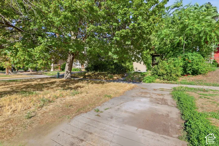 Expansive grounds featuring mature shade trees, established shrubbery, and concrete hardscaping