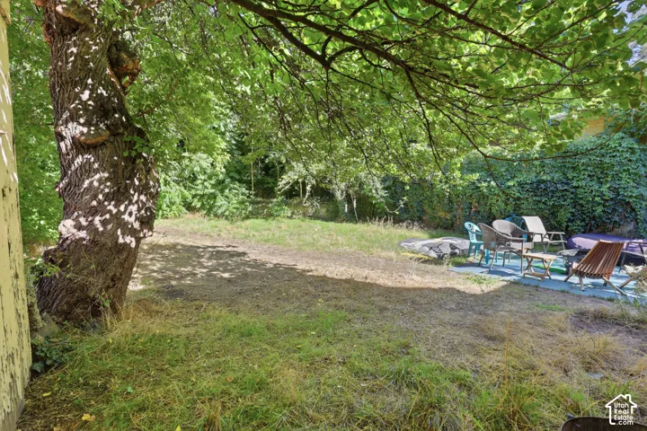 Private backyard featuring a large mature tree and natural perimeter greenery