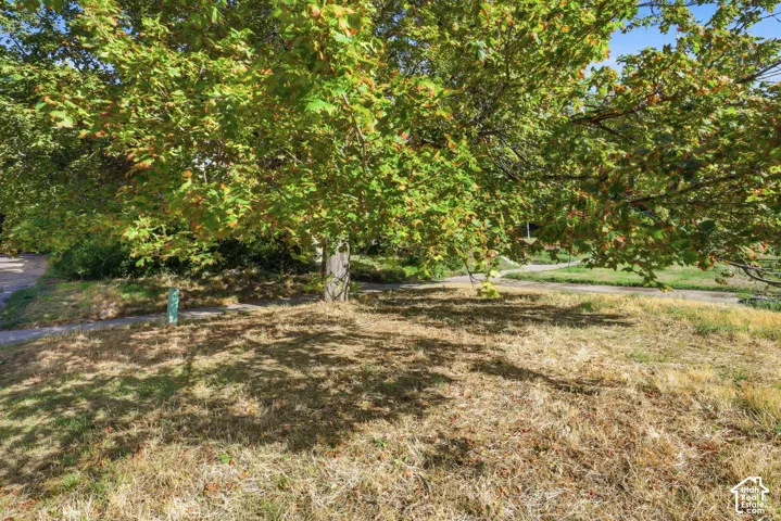 Expansive parcel featuring mature deciduous trees and natural topography