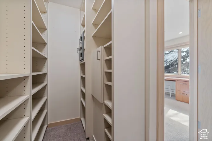 Built-in floor-to-ceiling shelving, custom cabinetry with a concealed panel, wall-mounted safe, and carpeted flooring