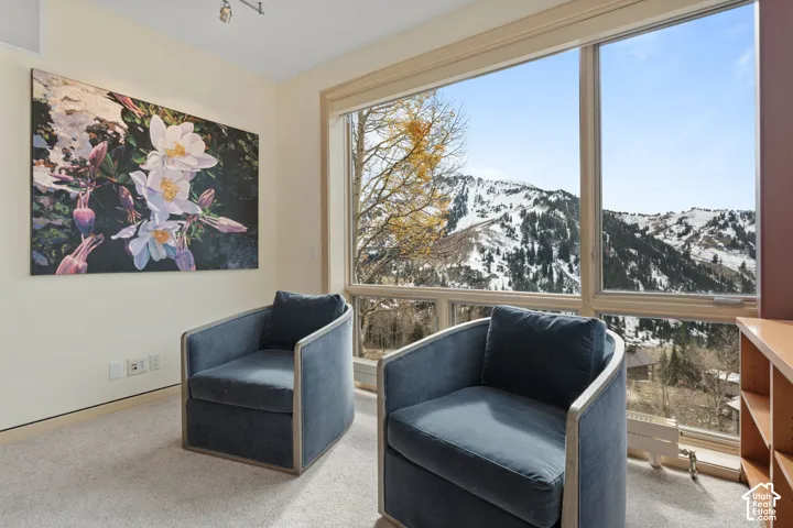 Floor-to-ceiling multi-pane window featuring expansive mountain scenery, neutral carpeting, and built-in wood shelving