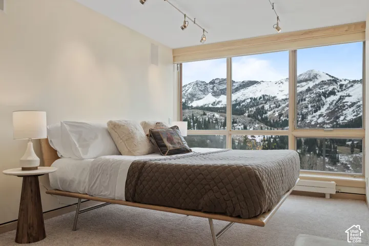 Expansive windows featuring wood-tone trim, mountain scenery, adjustable track lighting, and wall-to-wall carpeting