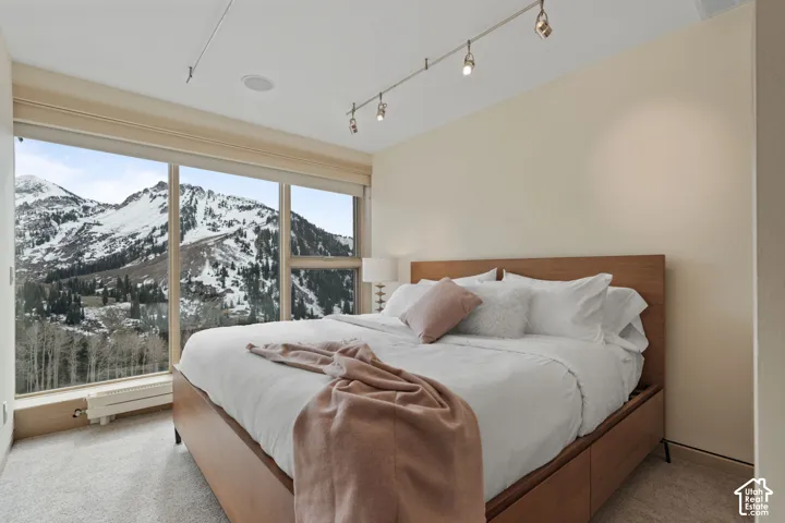 Floor-to-ceiling windows featuring snow-capped mountain scenery, wall-mounted track lighting, and neutral carpeting