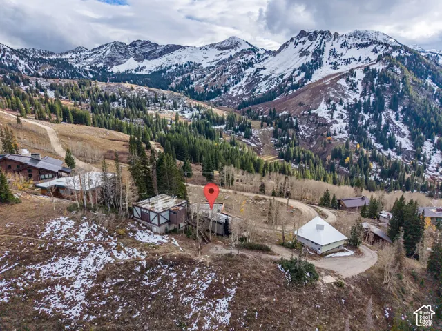 Aerial perspective of alpine terrain featuring snow-capped mountain peaks, mature coniferous trees, and an unpaved access road