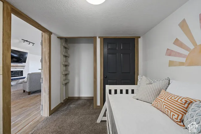 Carpeted room with a dark paneled door and wood-finish trim