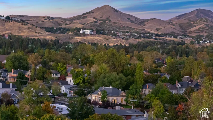 Aerial perspective featuring mature tree canopies, residential architecture, and a prominent mountain range backdrop