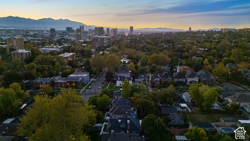 Aerial perspective featuring urban skyline, mountain range backdrop, and mature tree canopy