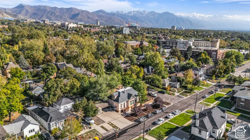 Aerial perspective featuring a landscape of mature trees and a prominent mountain range backdrop