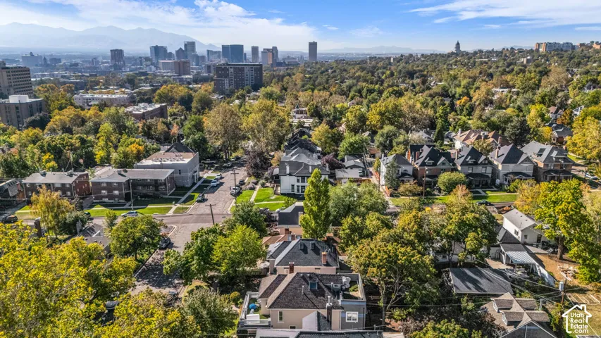 Aerial perspective featuring expansive city skyline, mountain backdrop, and mature tree canopy