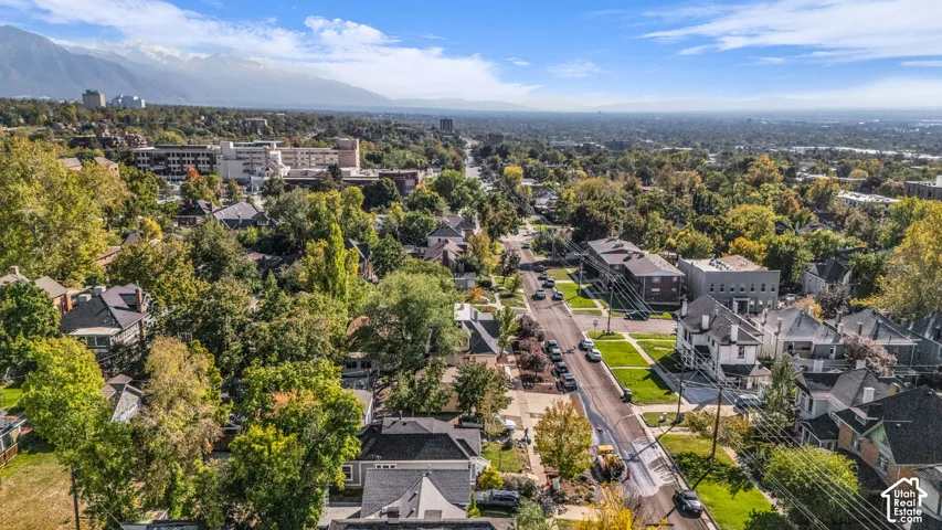 Aerial perspective showcasing mature tree canopy, mountain backdrop, and urban landscape