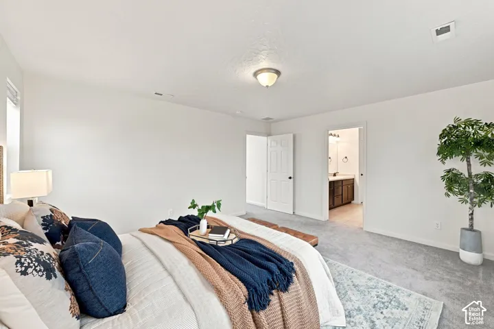Neutral-toned wall-to-wall carpeting, white interior doors, and overhead flush-mount lighting